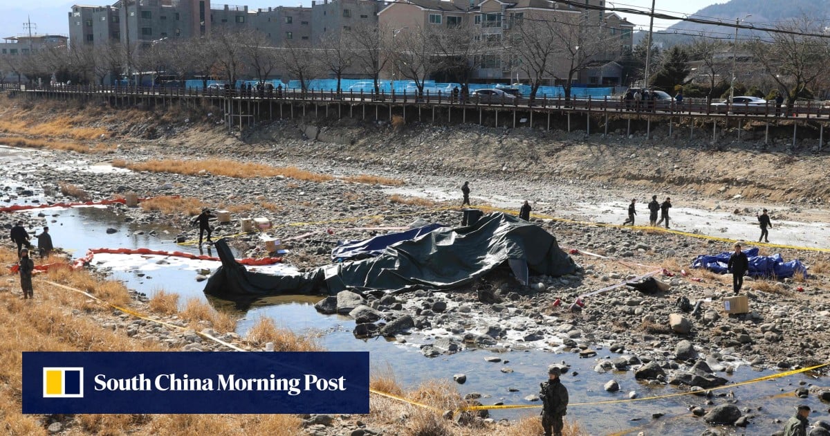 South Korea grounds Cobra military helicopters after fatal training crash