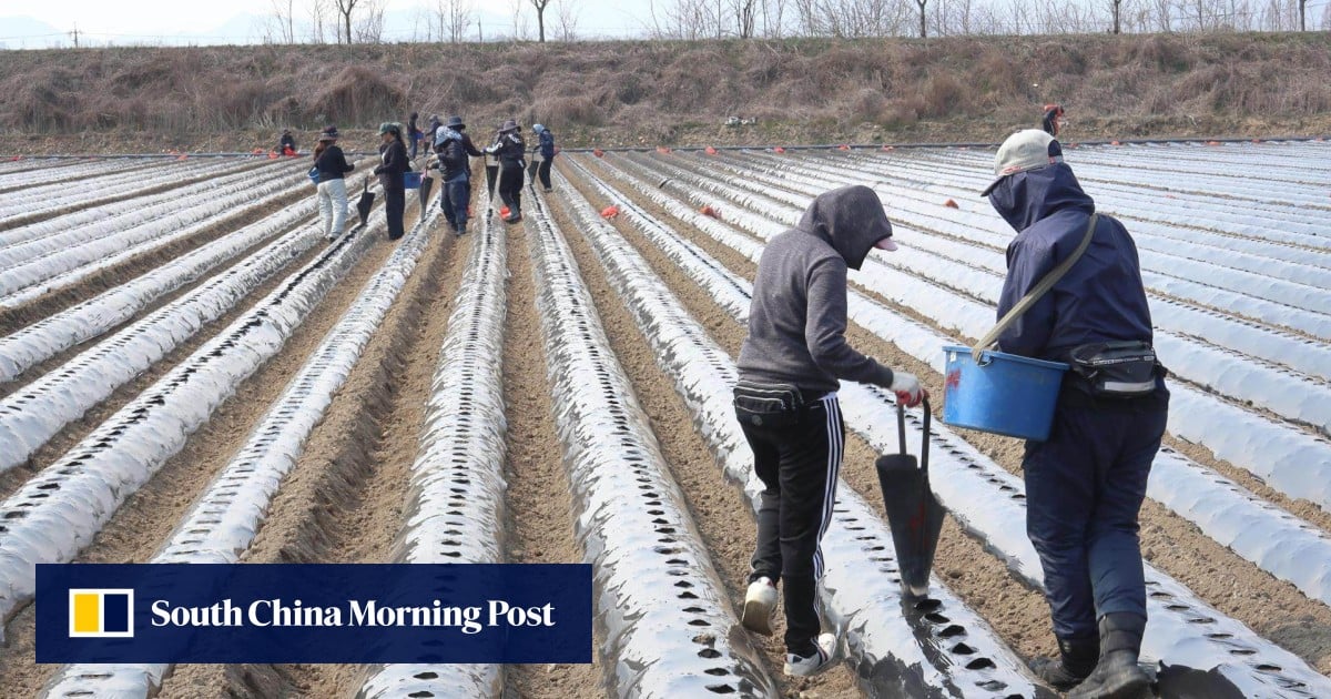 Seoul tightens migrant language screening over safety concerns