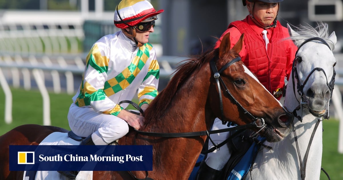 Zac Purton sticks with Sagacious Life in Classic Cup, while Self Improvement settles in well in Saudi Arabia