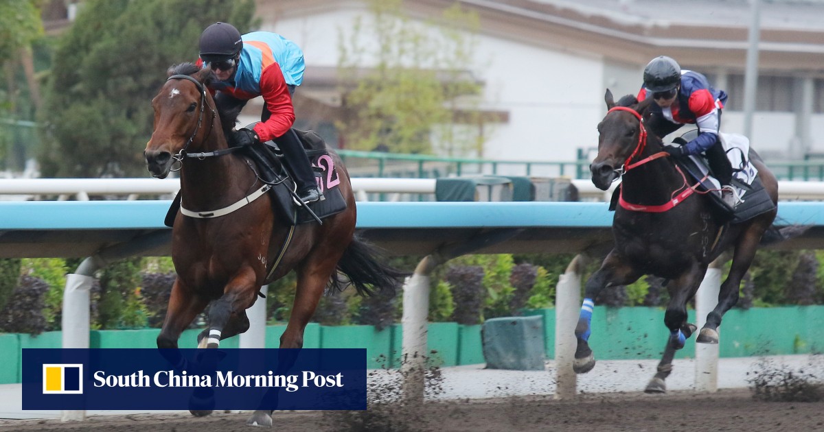 Ka Ying Rising wins barrier trial ‘as you’d expect’ as David Hayes looks to continue hot streak