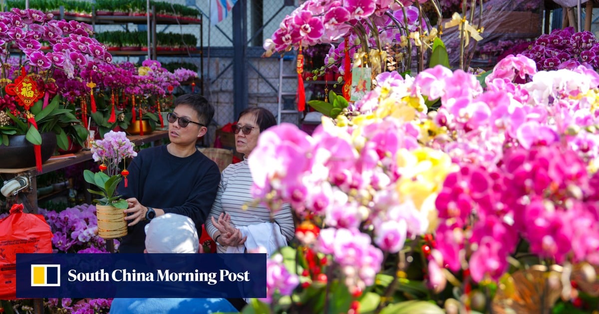 Hong Kong vendors optimistic despite rent hikes as Lunar New Year fair crowds flock