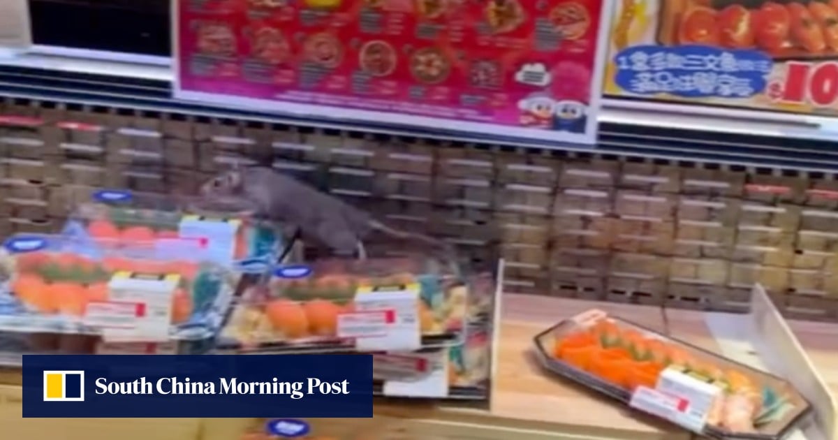 Rat in Don Don Donki sushi chiller sparks outcry over Hong Kong hygiene standards