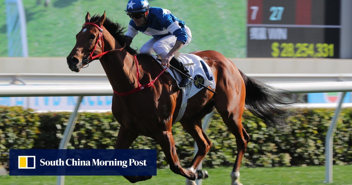 Luke Ferraris banks on history repeating as Lucky With You defends TVB Cup crown