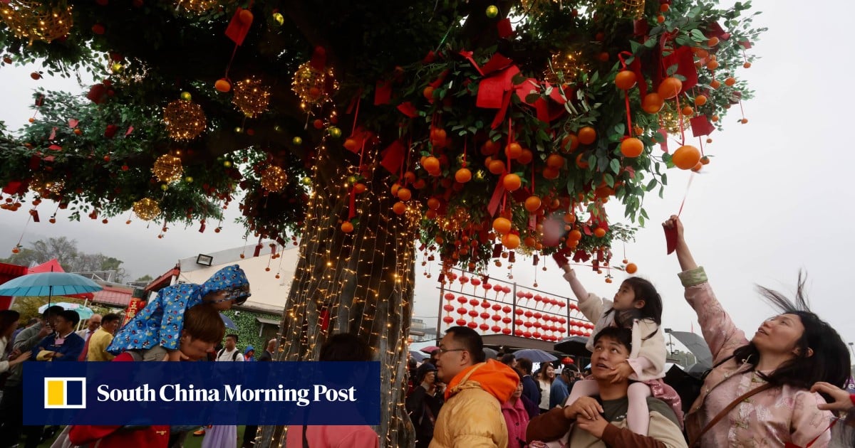 Hong Kong crowds flock to Tai Po wishing tree for Lunar New Year blessings