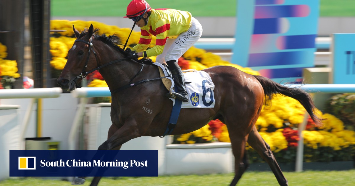 Francis Lui has high hopes for smart debut winner Hot Delight at Lunar New Year meeting