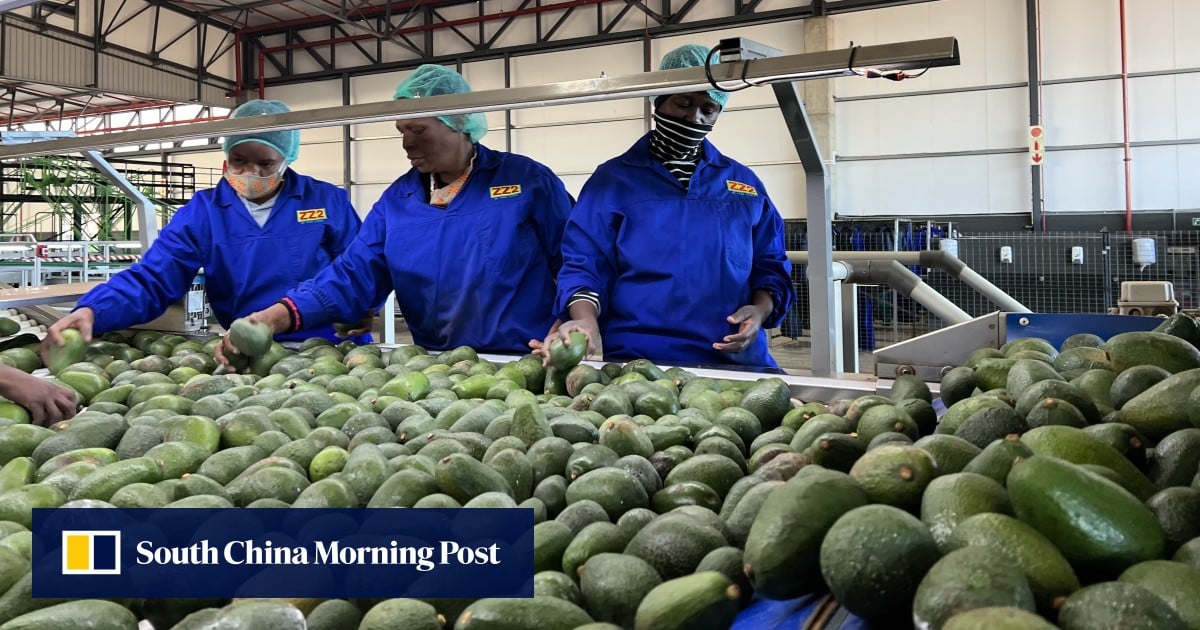 China says it won’t seek reciprocity with South Africa on zero-tariff policy