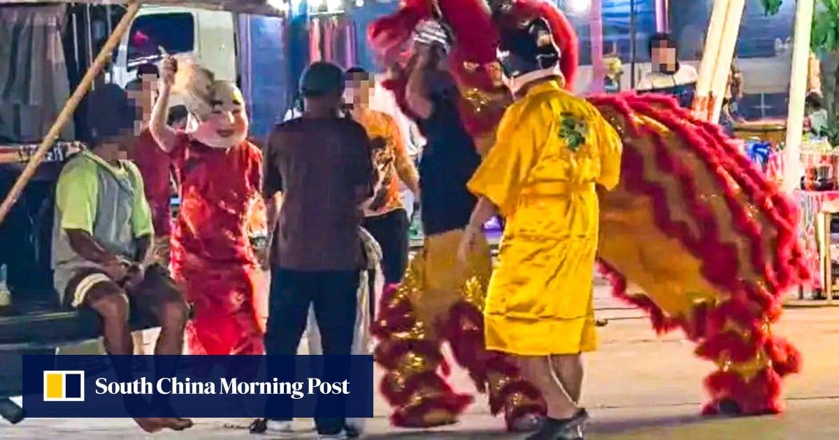 Thai police don lion dance costume to pounce on unsuspecting burglar