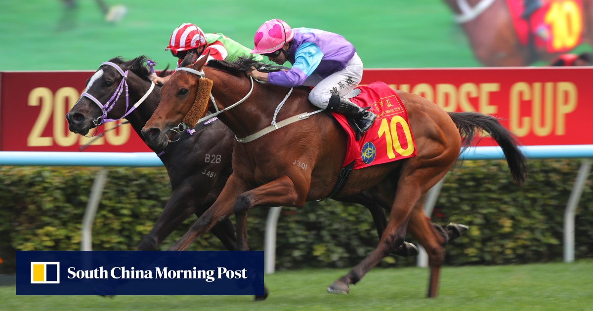 Tony Cruz reveals big plans for Stunning Peach after drought-breaking Sha Tin victory