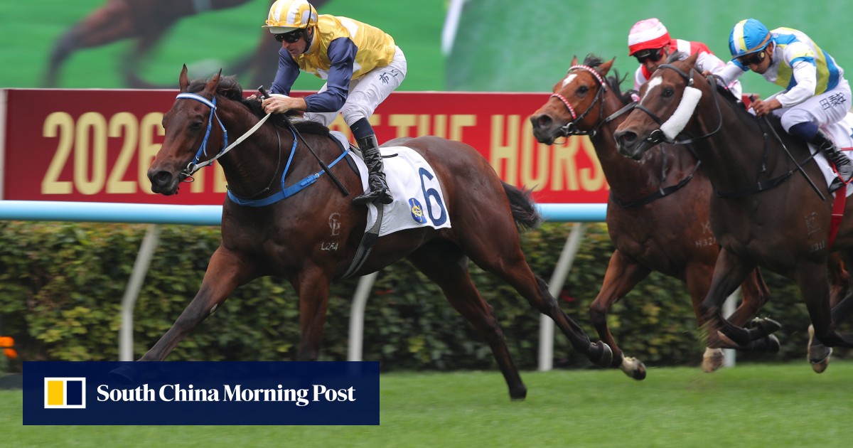 Caspar Fownes regains trainers’ championship lead after Papaya Brose dazzles on debut