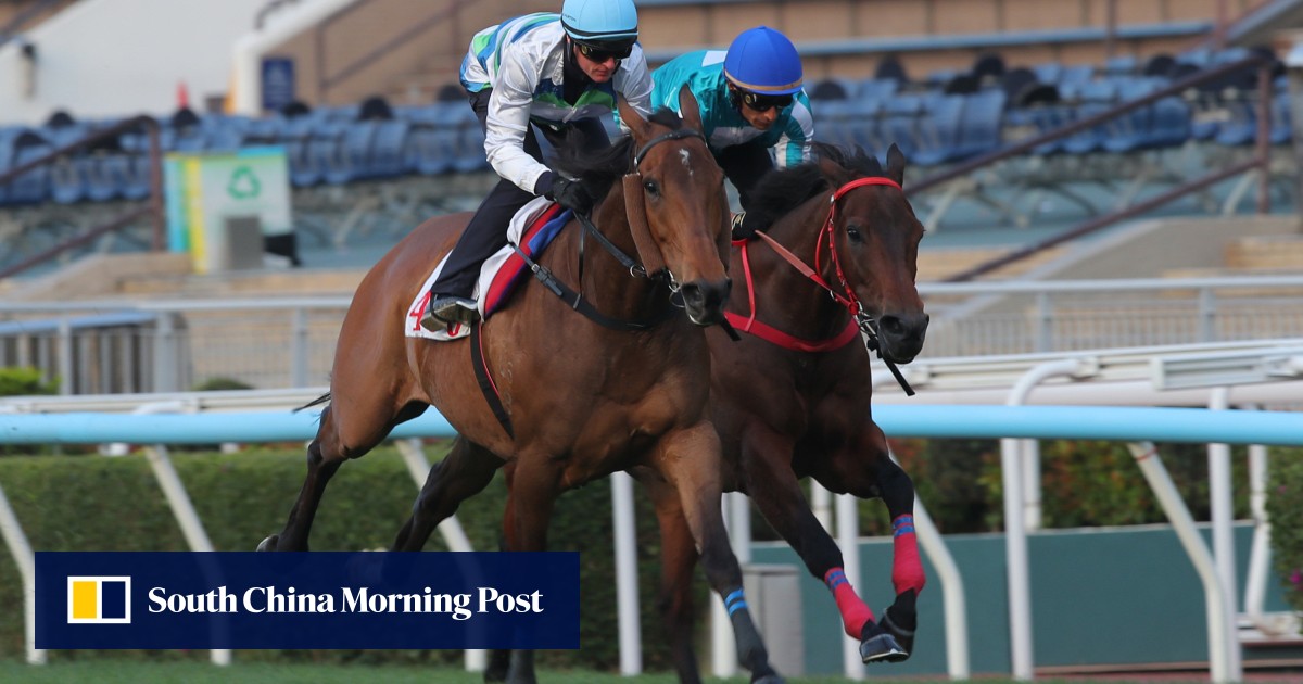 Karis Teetan gives Romantic Warrior seal of approval after trial clash with Voyage Bubble