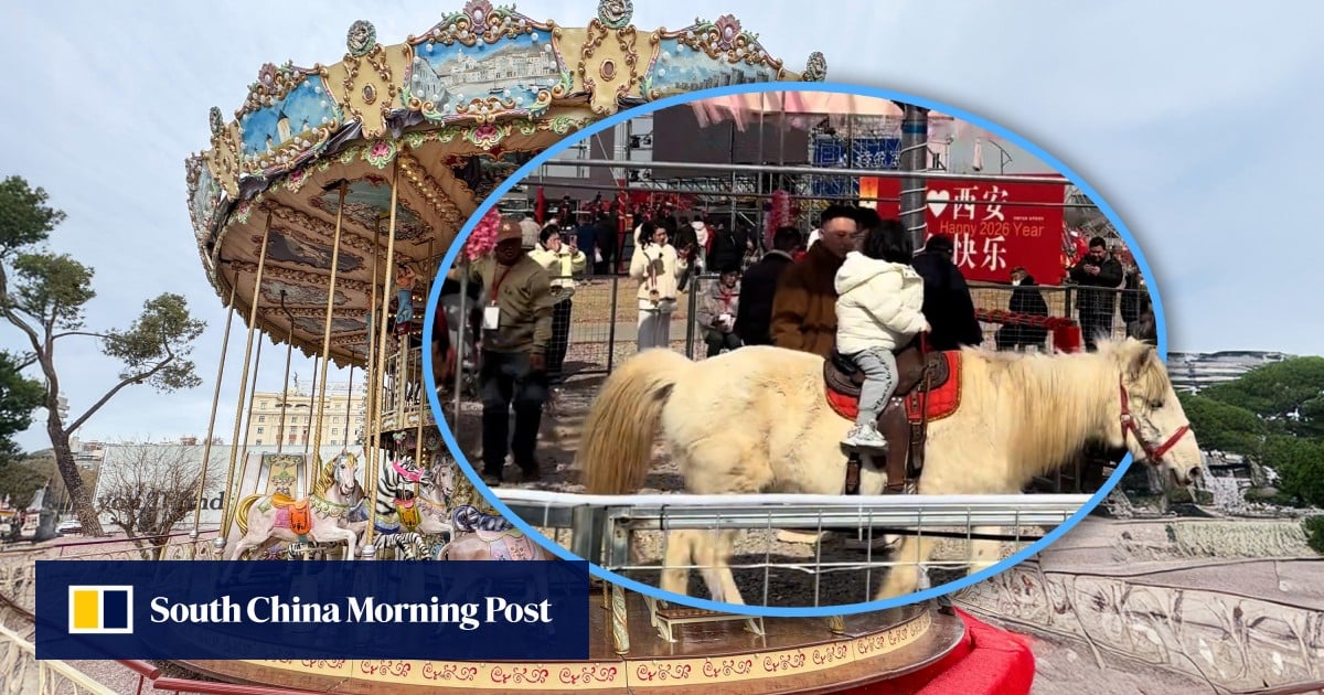 China scenic spot faces outcry over real horse carousel ride, raising animal welfare concerns