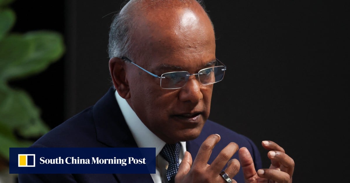 Singapore warns ‘action will be taken’ against citizens fighting for foreign causes