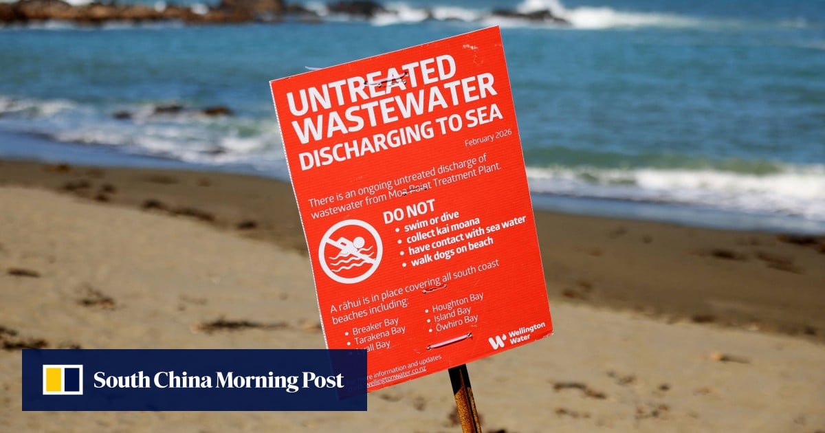 Wellington mayor takes dip to prove sea is safe after sewage leak in New Zealand