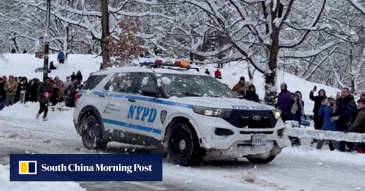 New York police arrest man after officers were pelted during snowball fight