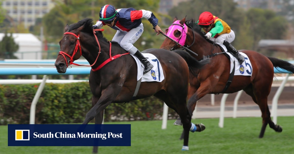 Frankie Lor banks on Numbers’ tactics to give him an edge over Little Paradise in Classic Cup