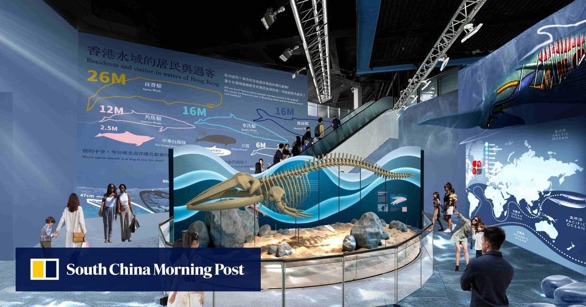 Hong Kong’s Ocean Park to open new conservation centre featuring whale skeleton