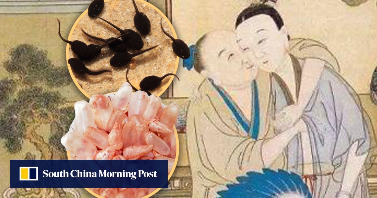 Ancient Chinese women used crude contraceptives – from eating tadpoles to ingesting mercury