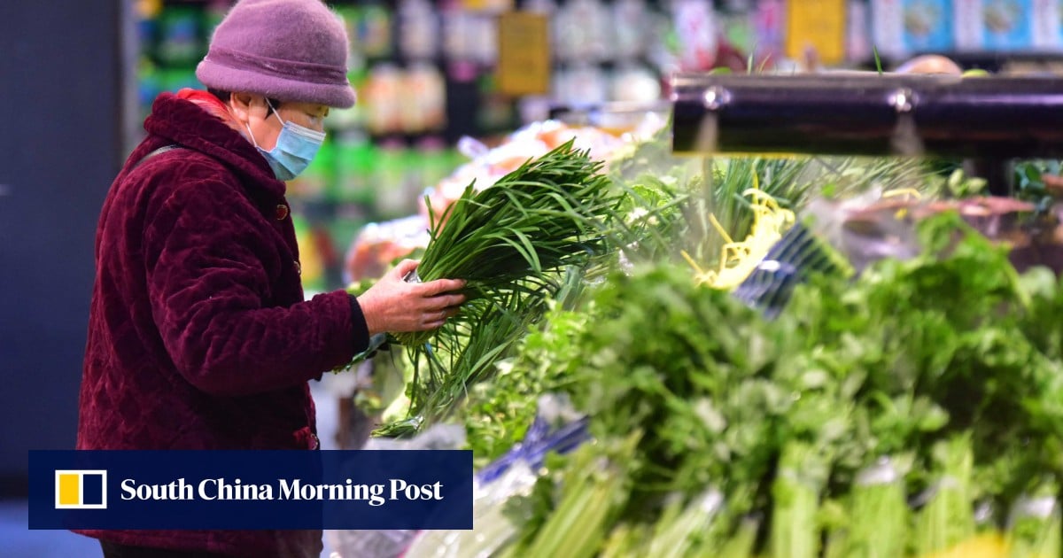 Hitting inflation target is key to China’s other economic goals, adviser says