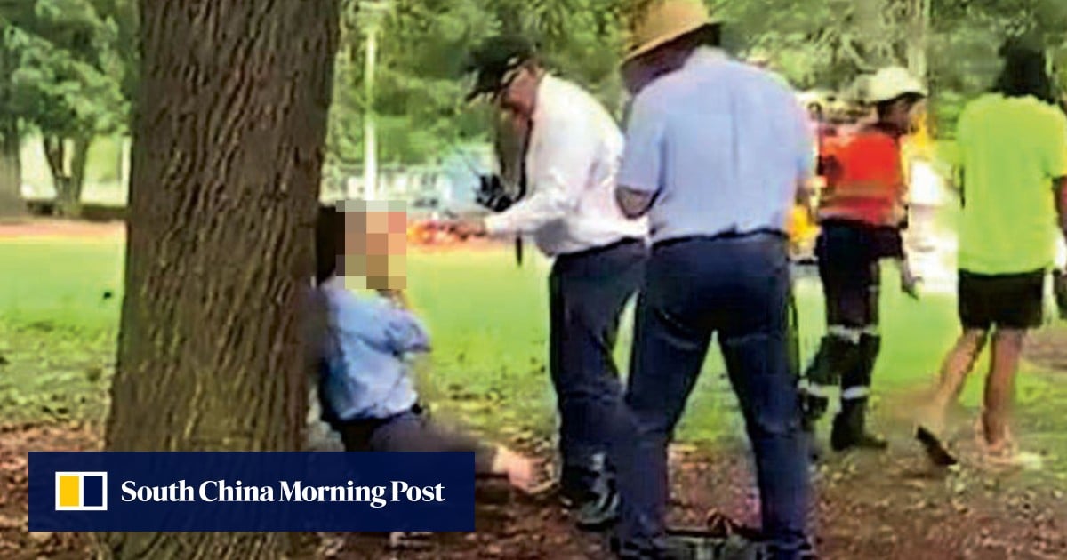 CUHK professor suspended for posing as schoolboy to take photos of pupils in Australia