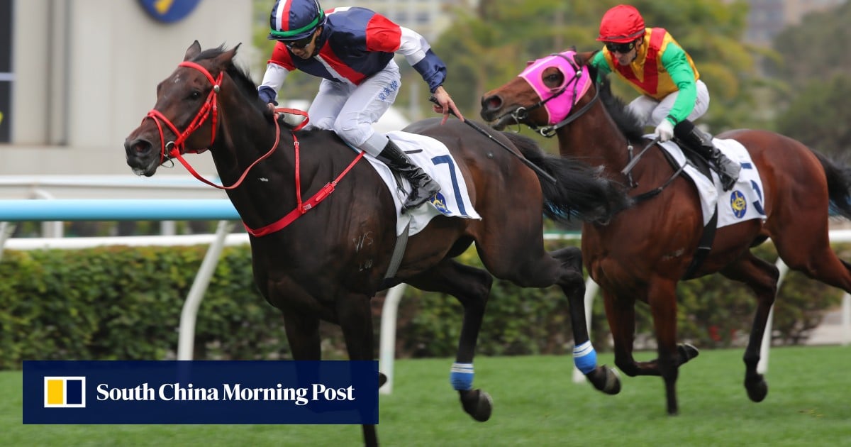 Hong Kong Derby top 10: Numbers, Invincible Ibis lead SCMP’s rankings