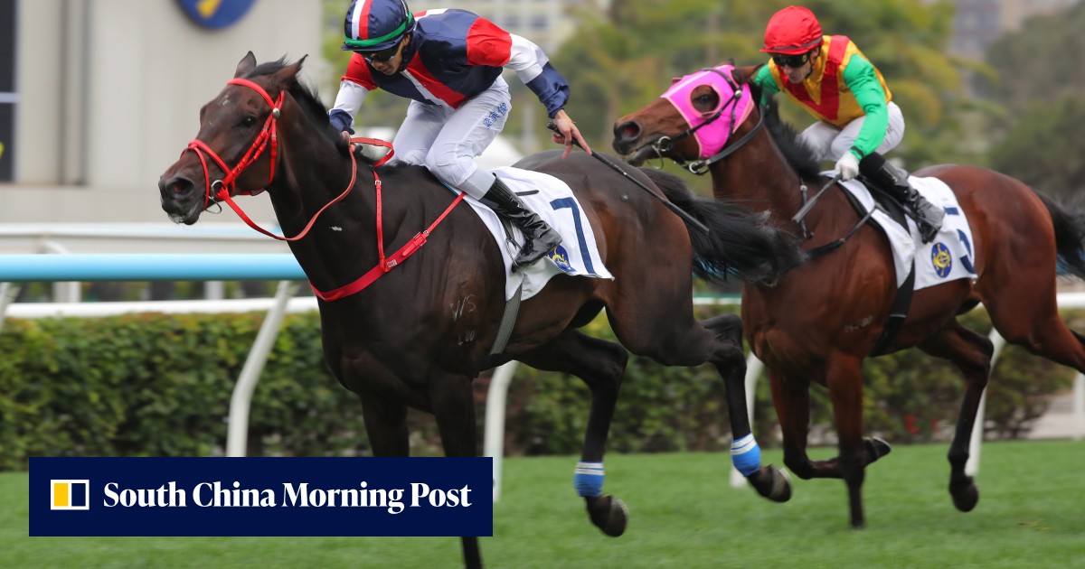 Scmp Racing Hong Kong Derby top 10: Numbers, Invincible Ibis lead SCMP’s rankings ...