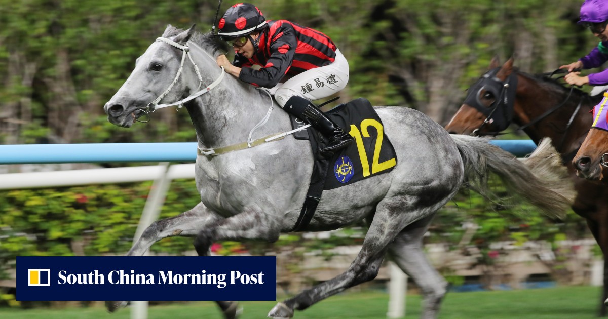 Greg Chung Racing Angus Chung looking to go back-to-back with Outgate at Happy Valley on ...