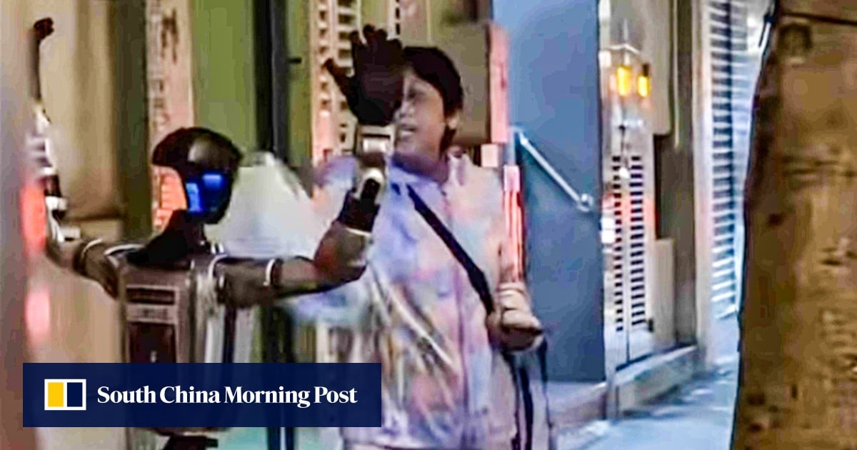 Robot ‘arrested’ after elderly woman startled and sent to hospital in Macau