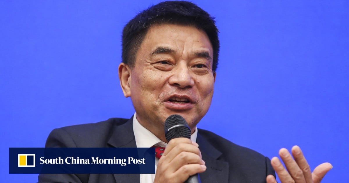 Chinese firms should focus on investing in politically stable regions: entrepreneur