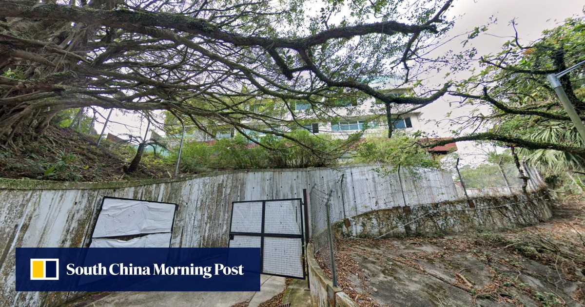 Hong Kong businessman expected to take loss on Peak properties he bought for US$255m