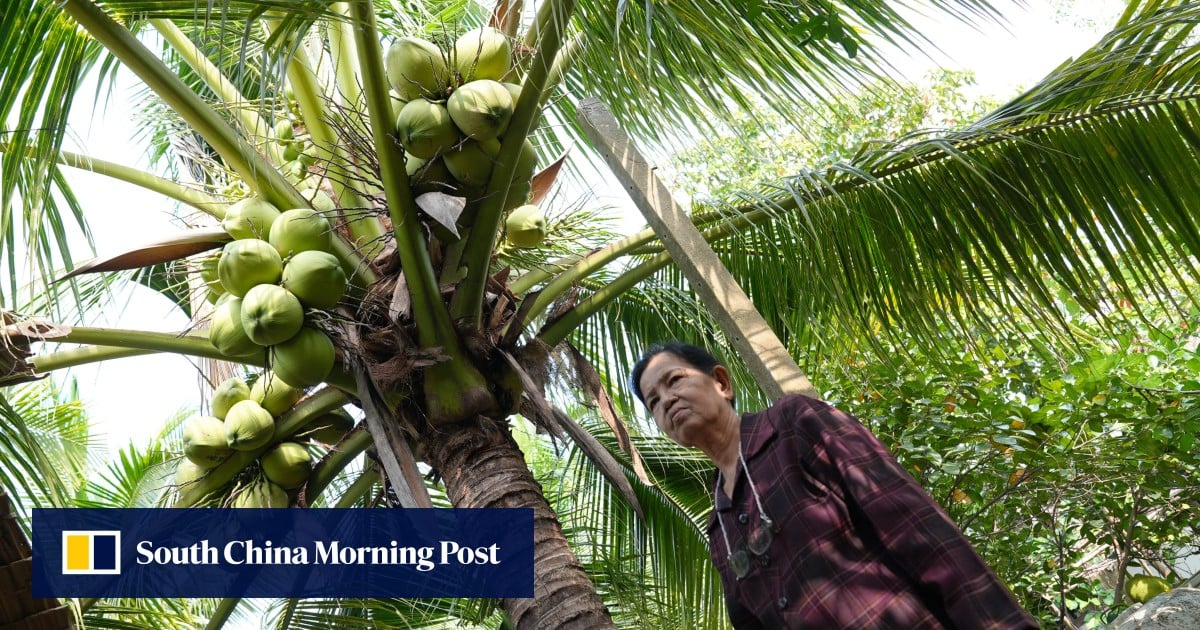 China defence experts vanish online, Thai coconut cartel crisis: 5 weekend reads you missed