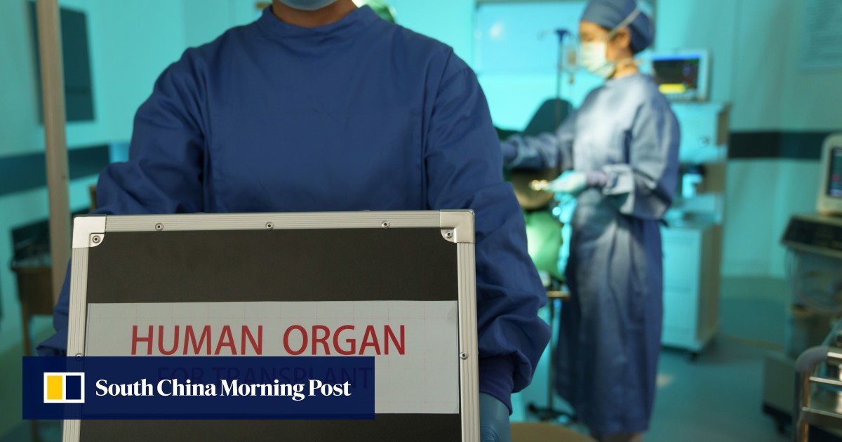 Could this Chinese breakthrough pave way for global organ transplant system?