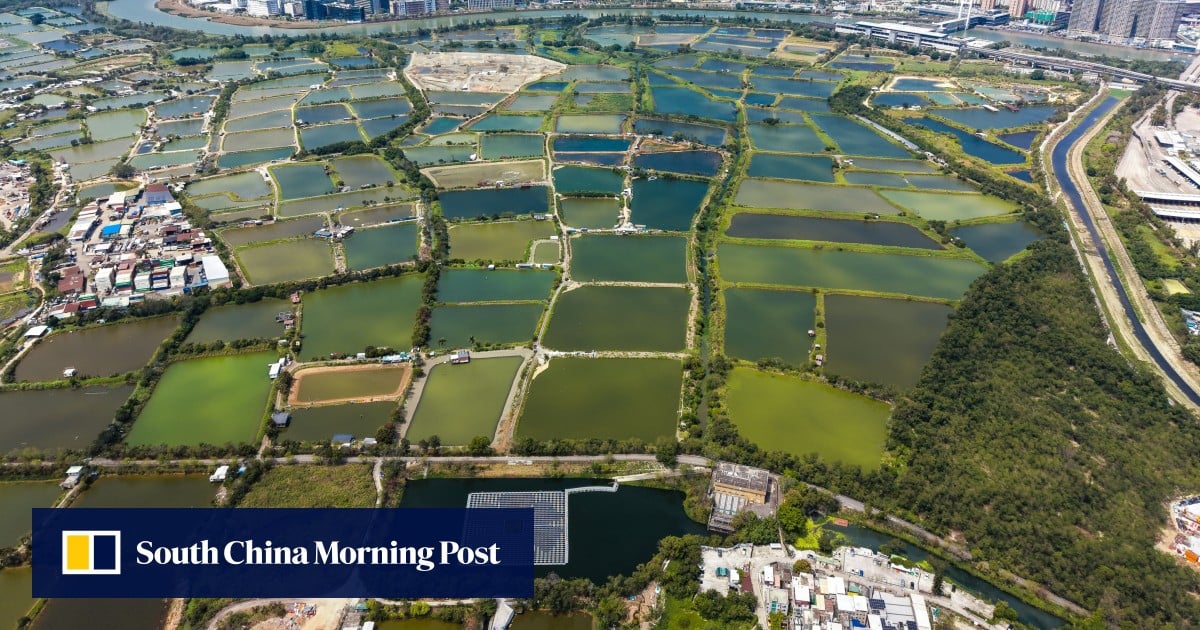 Measures to streamline Northern Metropolis land-use procedures unveiled