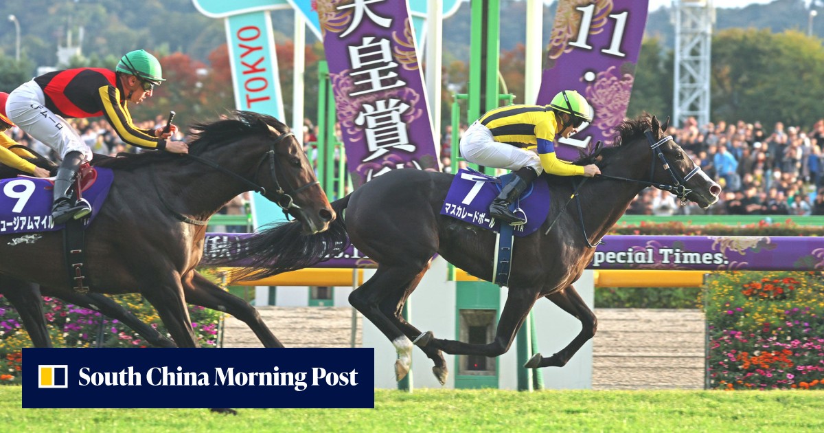 Champions Day: Calandagan, Masquerade Ball, Museum Mile headline strong ...