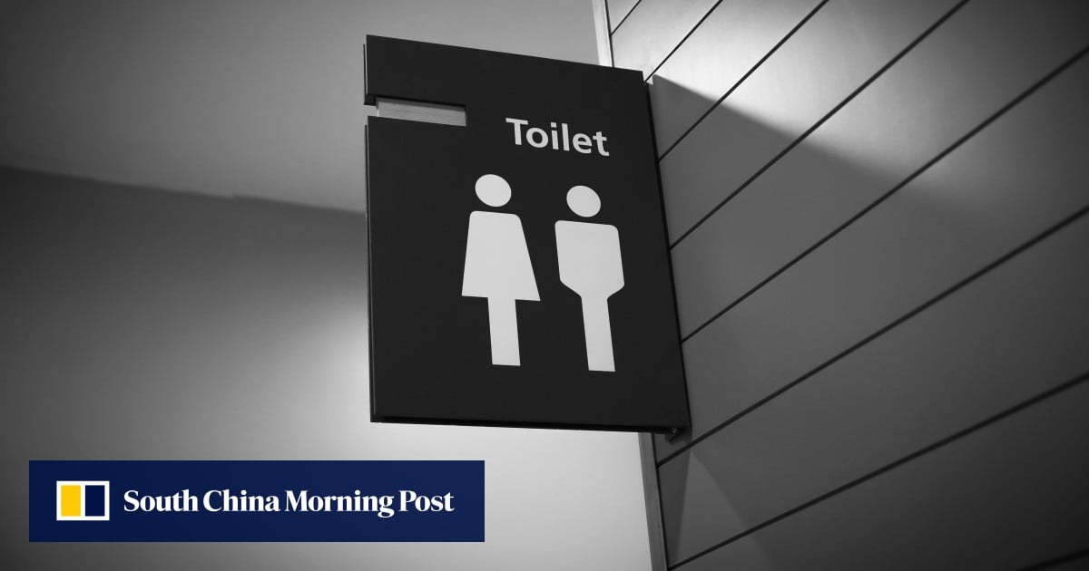South Korean cafe’s US$1.35 ‘toilet without ordering’ menu flush with criticism