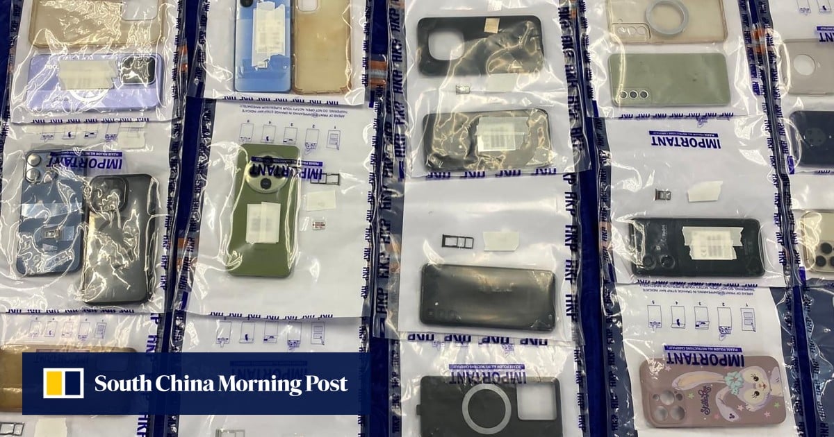 13 arrested in Hong Kong over HK$113 million ‘iAM Smart’ laundering crackdown