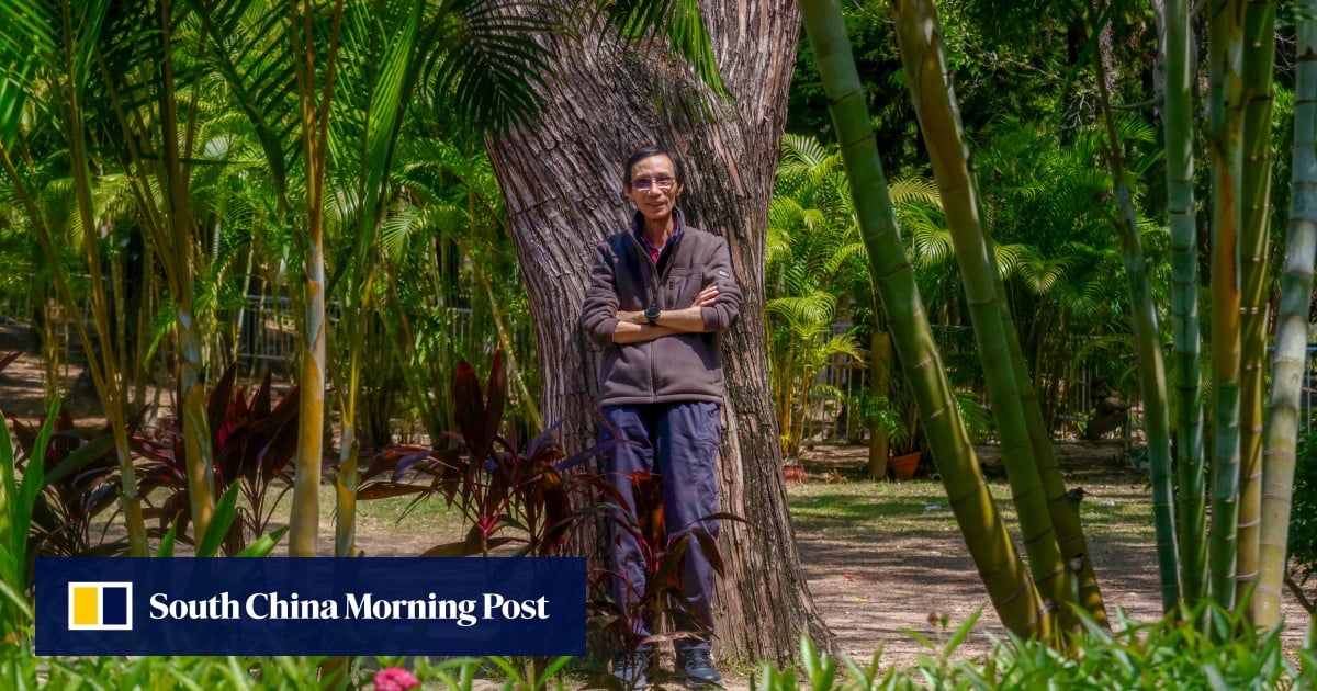 Veteran activist warns of ‘shrinking space’ for green advocacy in Hong Kong