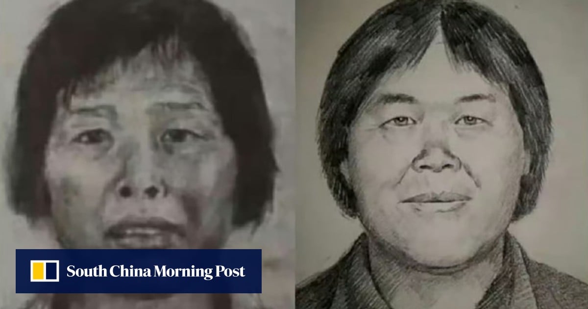 China’s infamous ‘Aunt Mei’ arrested after decade-long hunt for child trafficker