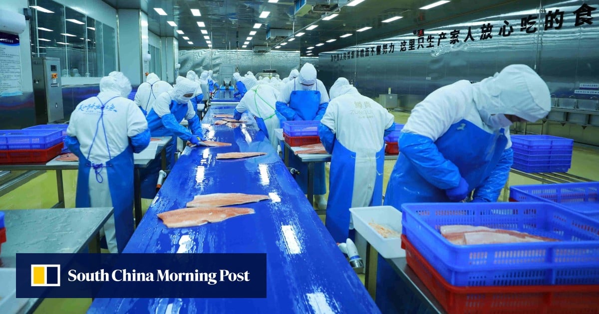 How ‘salmon’ raised in landlocked Xinjiang is netting fans in China