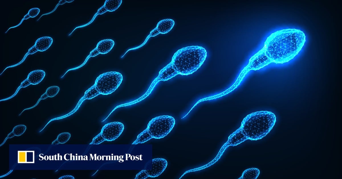 Sex in space? Sperm struggles to navigate without gravity, scientists find
