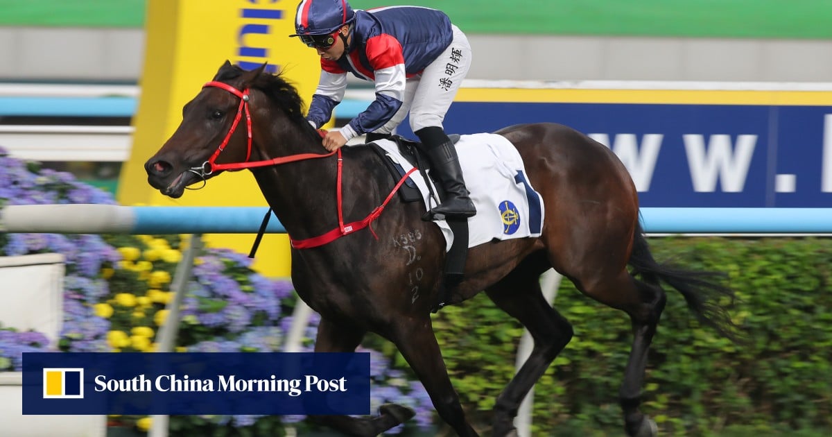 Booming Three-Year-Old Salon S Shines at Sha Tin, Extending Unbeaten Streak to Four