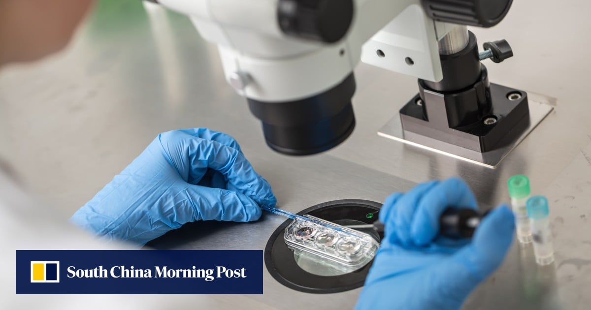 Chinese company to use AI-powered chromosome testing to boost profits and fast track IVF