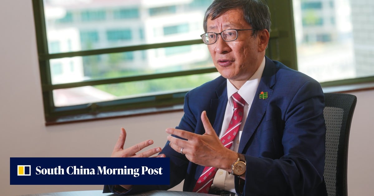 Hong Kong schools urged to find ‘way out’ over falling student numbers