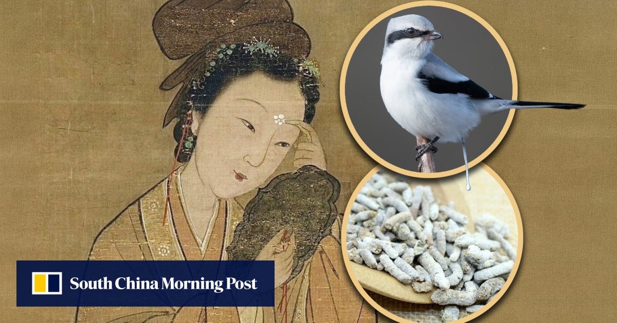 Why Empress Dowager Cixi and people in ancient China used animal faeces in beauty routines