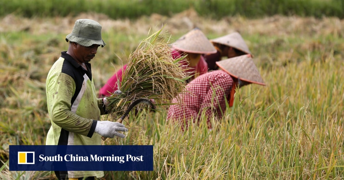 Why spike in fertiliser prices could boost China’s political clout