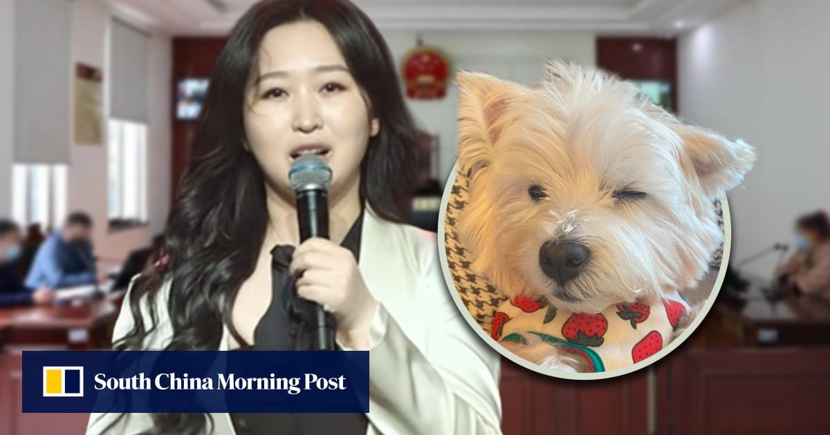 Chinese woman whose pet dog was poisoned, killed by neighbour, sacrifices job for the cause