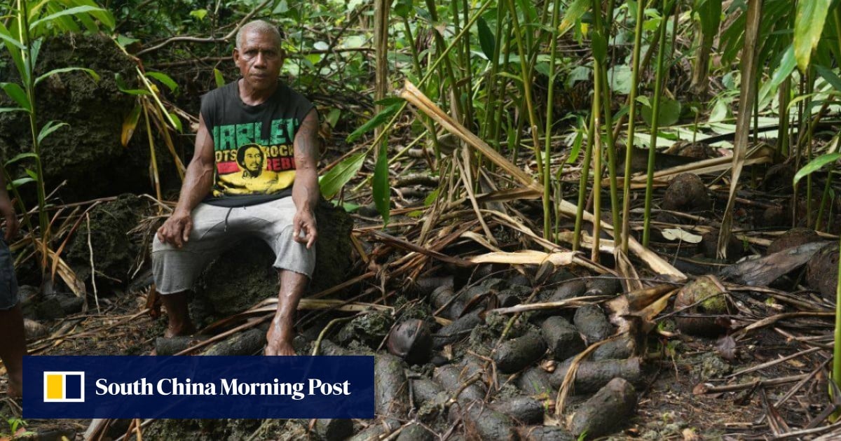 Solomon Islands residents live in fear of WWII bomb explosions