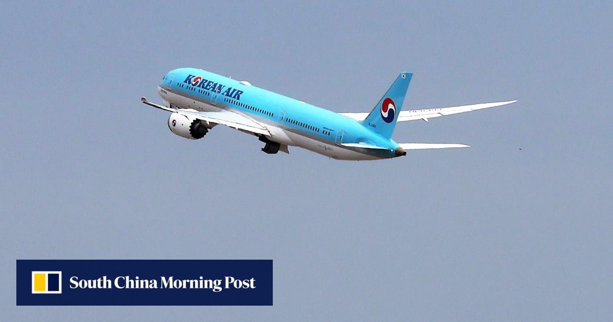 ‘I can’t breathe’: Korean Air sued over in-flight death of passenger