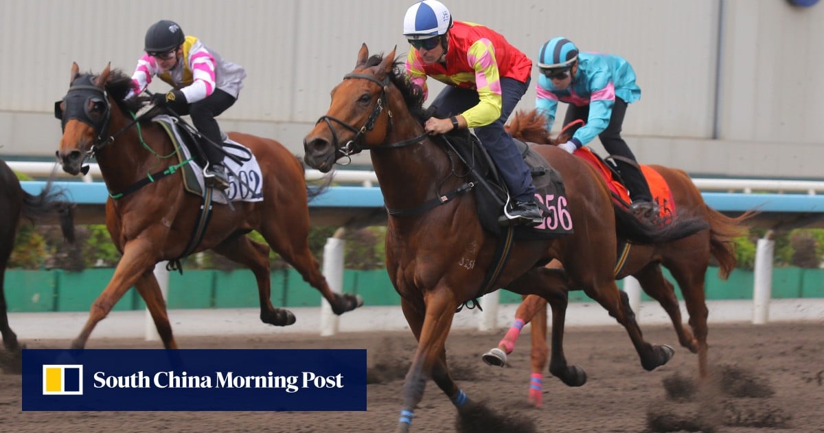 Mark Newnham hopes return to mile and Group Two level propels My Wish to Chairman’s Trophy glory