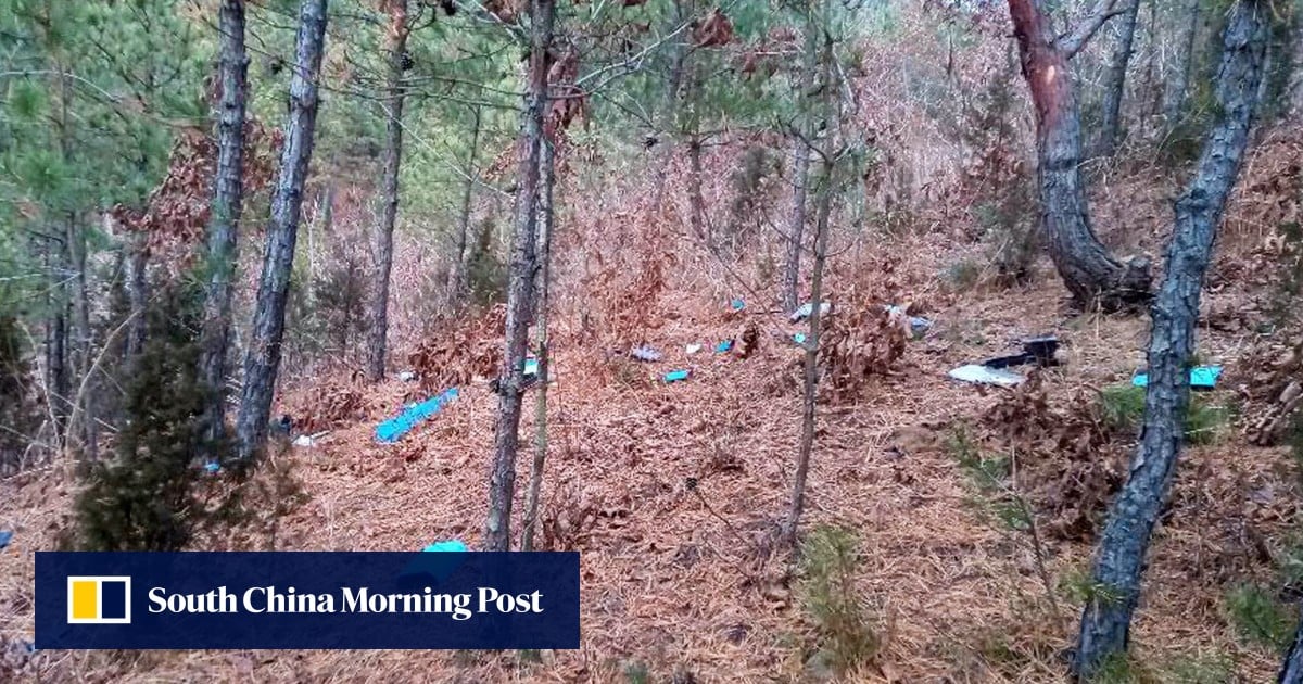 South Korea’s Lee regrets drones sent to North: ‘irresponsible and reckless’