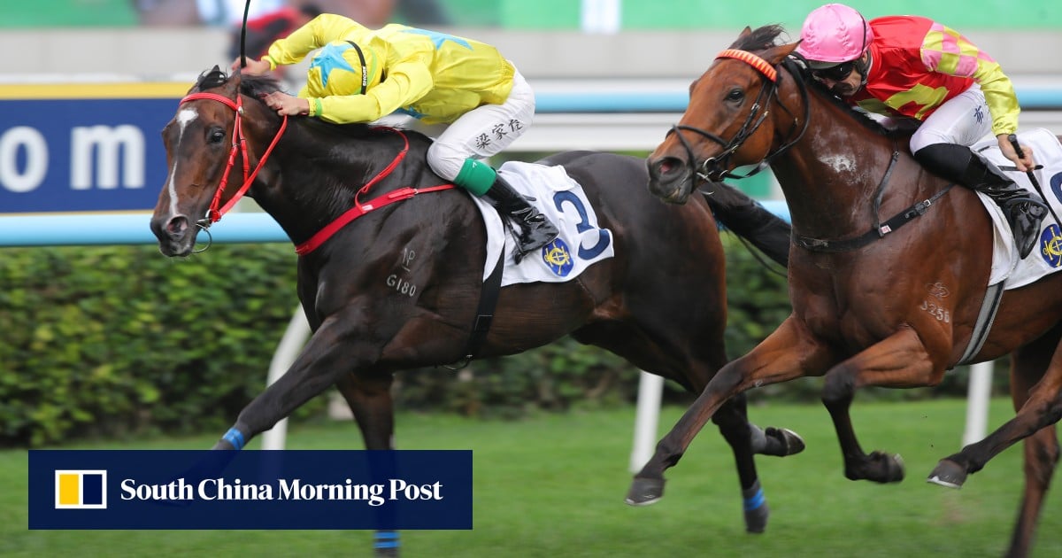 Bold decision pays off as Lucky Sweynesse steps out of the shadows for Group Two glory